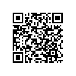 RNCF2512BKE13K7 QRCode