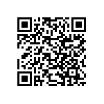 RNCF2512BKE30K1 QRCode