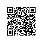 RNCF2512BKE39K2 QRCode