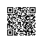 RNCF2512BTC13K0 QRCode