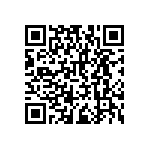 RNCF2512BTC13R3 QRCode