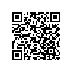 RNCF2512BTC1K13 QRCode