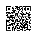 RNCF2512BTC300K QRCode