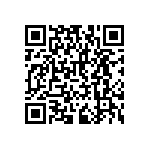 RNCF2512BTC301K QRCode