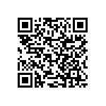 RNCF2512BTC3K01 QRCode