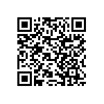 RNCF2512BTE13R3 QRCode