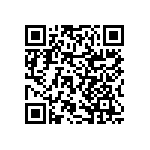 RNCF2512BTE29R4 QRCode