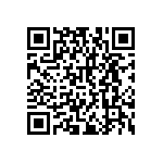 RNCF2512DKE102K QRCode