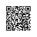 RNCF2512DKE294R QRCode