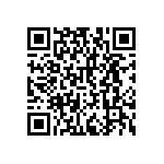 RNCF2512DTC4K53 QRCode