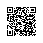 RNCF2512DTC95R3 QRCode