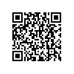 RNCF2512DTE102K QRCode