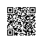 RNCF2512DTE13R7 QRCode