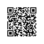 RNCF2512DTE1M33 QRCode