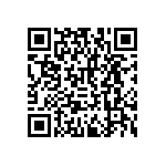 RNCF2512DTE2K80 QRCode