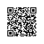 RNCF2512DTE30R1 QRCode