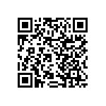 RNCF2512DTE33R2 QRCode