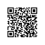 RNCP0402FTD3R30 QRCode