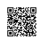 RNCP0402FTD866R QRCode