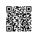 RNCP0603FTD13K0 QRCode