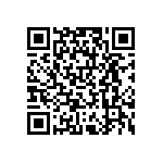 RNCP0805FTD6K04 QRCode
