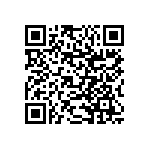 RNCS1206BKE38K3 QRCode