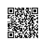 RNCS1206BKE51K1 QRCode