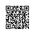 RNCS1206BKE9K53 QRCode