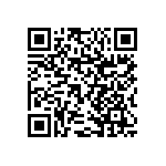 RNCS1206BTE3K24 QRCode