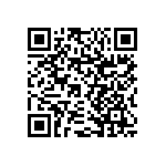 RNCS1206BTE3K32 QRCode