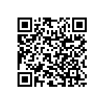 RNR55H1002FSRSL QRCode