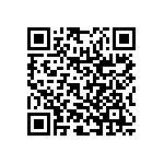 RNR55H2002BSRSL QRCode