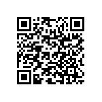 RNR55H2492BSRE6 QRCode