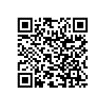 RNR55H9313DSRSL QRCode