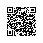 RNR55J2802BSRE6 QRCode