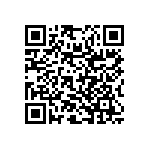 RNR55K1002FSRSL QRCode