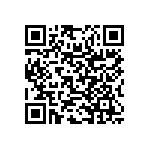 RNR55K2873FSB14 QRCode