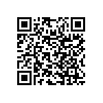 RNR55K3011FSBSL QRCode