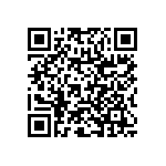 RNR60H1002FSRE6 QRCode