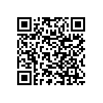 RNR60K3013FPRSL QRCode