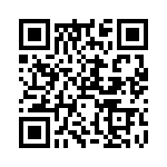 RP13-PC-121 QRCode