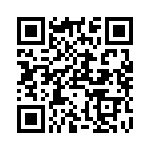 RP310024 QRCode
