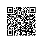 RP73D2B953KBTDF QRCode