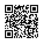 RP821024 QRCode