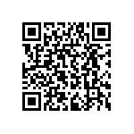 RPE5C1H2R2C2P1B03B QRCode