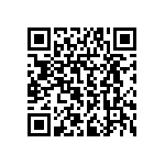 RPE5C1H3R3C2P1B03B QRCode