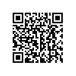 RPEE41H333M2P1B03B QRCode