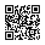 RPI QRCode