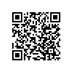RT0201DRD073K9L QRCode