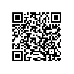 RT0402BRB073K3L QRCode